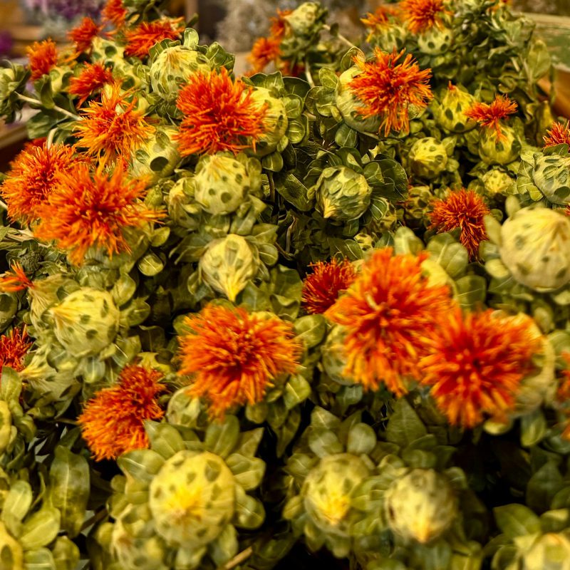 Safflower Oil